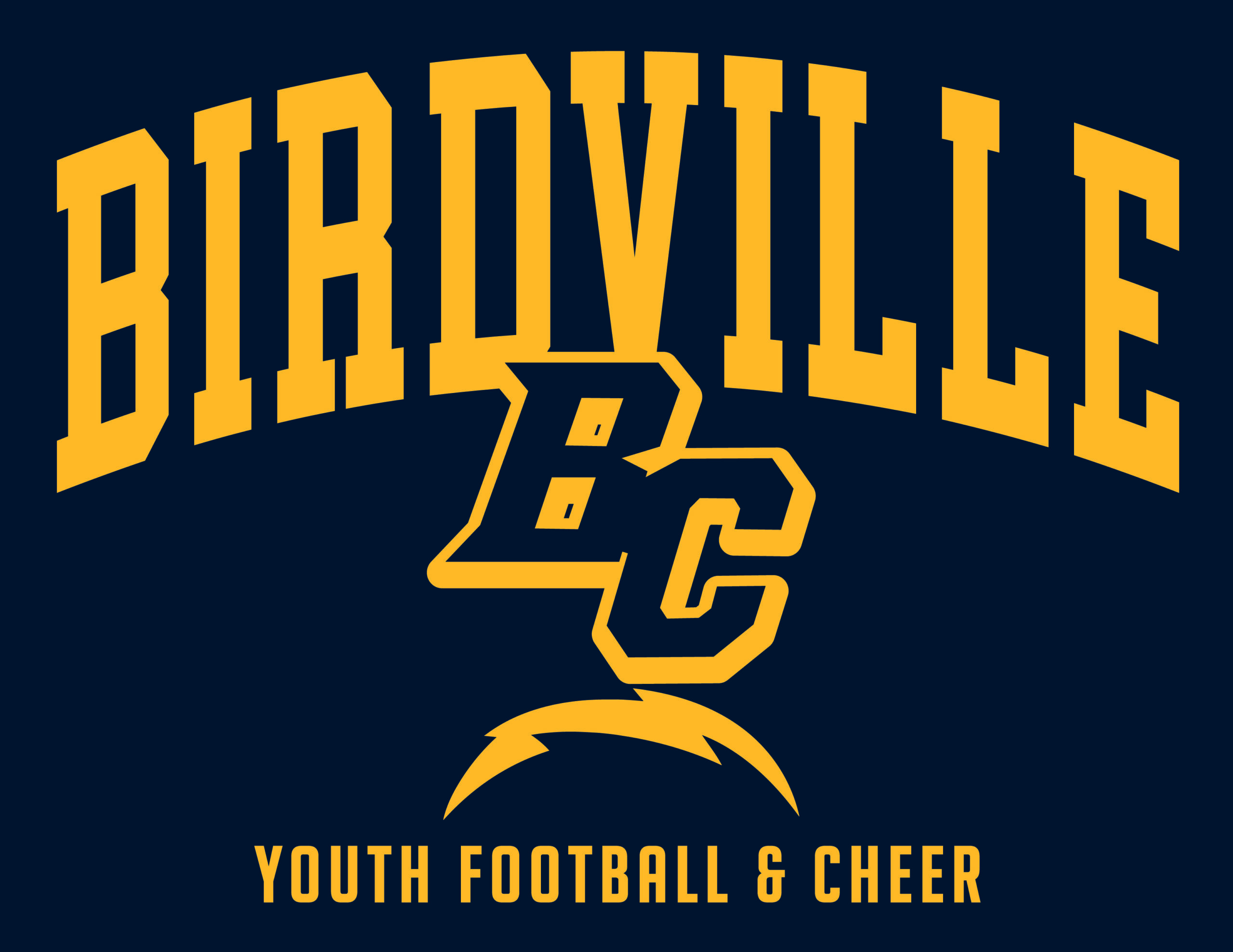 The Birdville Football Youth Association Logo
